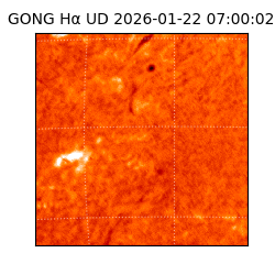 gong - 2026-01-22T07:00:02