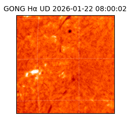gong - 2026-01-22T08:00:02