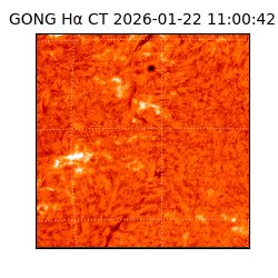 gong - 2026-01-22T11:00:42