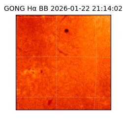 gong - 2026-01-22T21:14:02