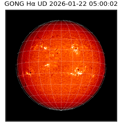 gong - 2026-01-22T05:00:02
