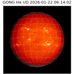 gong - 2026-01-22T06:14:02