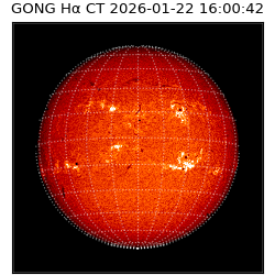 gong - 2026-01-22T16:00:42