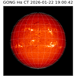 gong - 2026-01-22T19:00:42