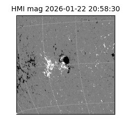 shmi - 2026-01-22T20:58:30