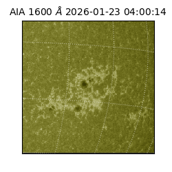 saia - 2026-01-23T04:00:14.125000
