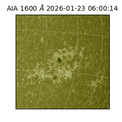 saia - 2026-01-23T06:00:14.118000