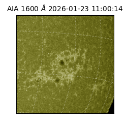 saia - 2026-01-23T11:00:14.126000
