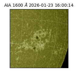 saia - 2026-01-23T16:00:14.118000