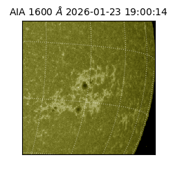 saia - 2026-01-23T19:00:14.126000