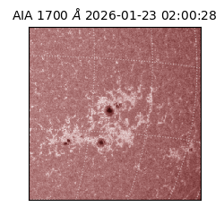 saia - 2026-01-23T02:00:28.717000