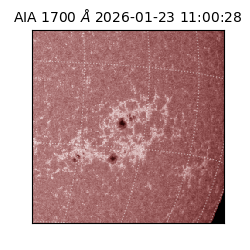 saia - 2026-01-23T11:00:28.718000