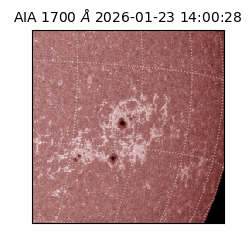 saia - 2026-01-23T14:00:28.718000