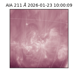 saia - 2026-01-23T10:00:09.626000