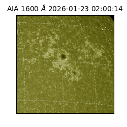 saia - 2026-01-23T02:00:14.126000