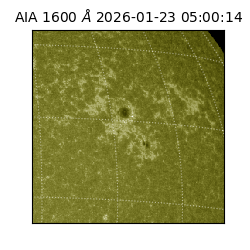 saia - 2026-01-23T05:00:14.126000