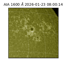 saia - 2026-01-23T08:00:14.131000