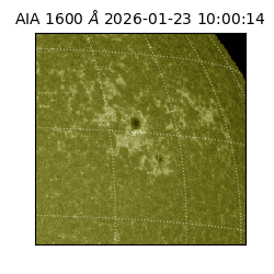 saia - 2026-01-23T10:00:14.126000