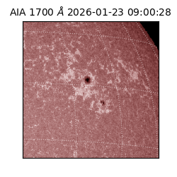 saia - 2026-01-23T09:00:28.721000