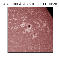 saia - 2026-01-23T11:00:28.718000