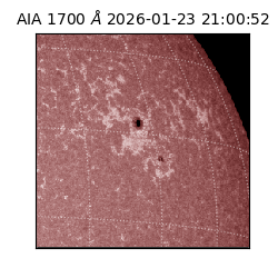 saia - 2026-01-23T21:00:52.721000