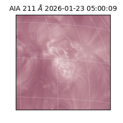 saia - 2026-01-23T05:00:09.626000