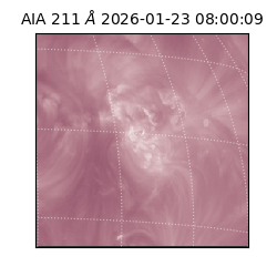 saia - 2026-01-23T08:00:09.632000