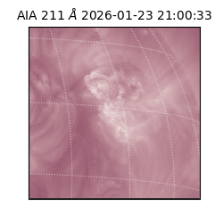 saia - 2026-01-23T21:00:33.626000
