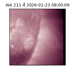 saia - 2026-01-23T08:00:09.632000
