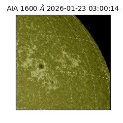 saia - 2026-01-23T03:00:14.126000