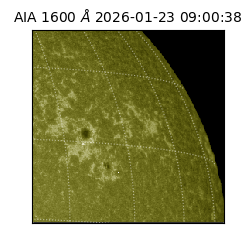 saia - 2026-01-23T09:00:38.126000