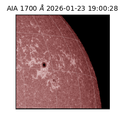 saia - 2026-01-23T19:00:28.717000