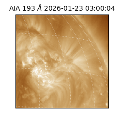 saia - 2026-01-23T03:00:04.843000