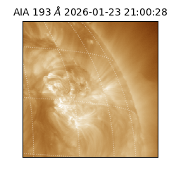 saia - 2026-01-23T21:00:28.843000