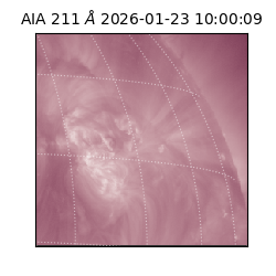 saia - 2026-01-23T10:00:09.626000