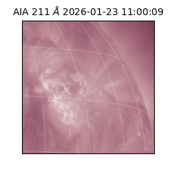saia - 2026-01-23T11:00:09.626000