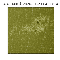 saia - 2026-01-23T04:00:14.125000