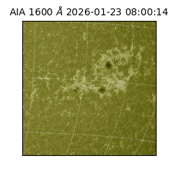 saia - 2026-01-23T08:00:14.131000
