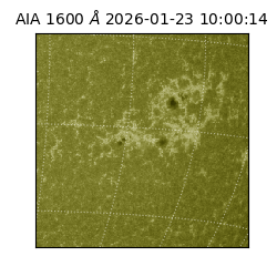saia - 2026-01-23T10:00:14.126000