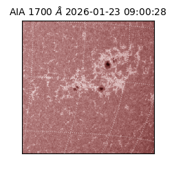 saia - 2026-01-23T09:00:28.721000