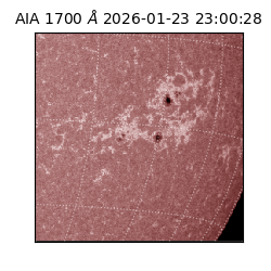 saia - 2026-01-23T23:00:28.734000