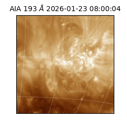 saia - 2026-01-23T08:00:04.843000