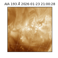 saia - 2026-01-23T21:00:28.843000