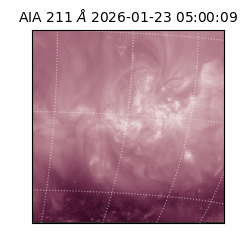 saia - 2026-01-23T05:00:09.626000