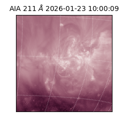 saia - 2026-01-23T10:00:09.626000