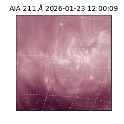 saia - 2026-01-23T12:00:09.618000