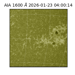saia - 2026-01-23T04:00:14.125000