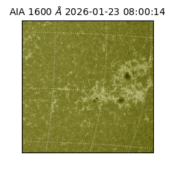 saia - 2026-01-23T08:00:14.131000