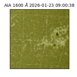 saia - 2026-01-23T09:00:38.126000