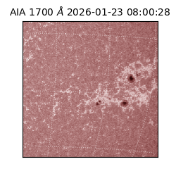 saia - 2026-01-23T08:00:28.717000